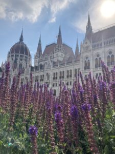 Parlement Hongrois - Budapest